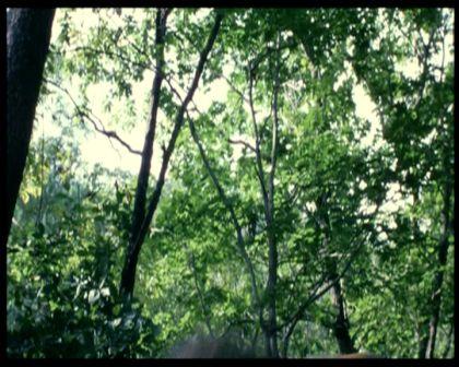 PDVD_897.jpg