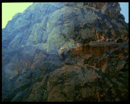 PDVD_920.jpg