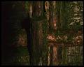 PDVD_1867