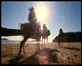 PDVD_1876