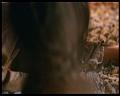 PDVD_2820