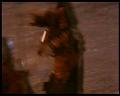 PDVD_2848