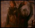 PDVD_2852