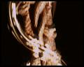 PDVD_2891