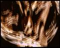 PDVD_2892