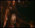 PDVD_2914