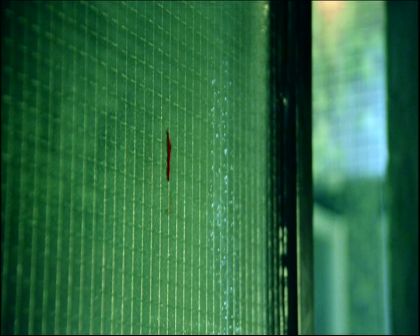 PDVD_1108.jpg