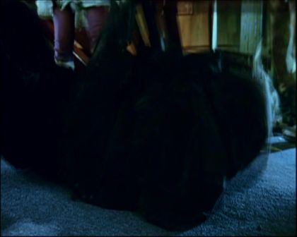 PDVD_2273.jpg