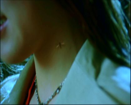 PDVD_252.jpg