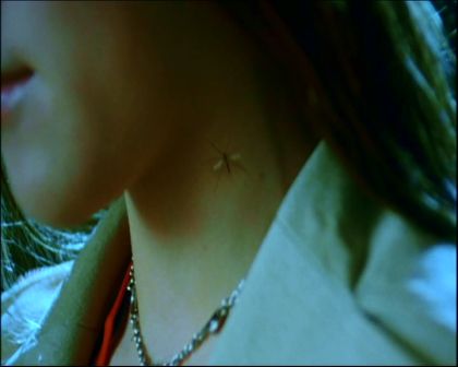 PDVD_253.jpg
