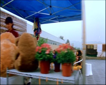 PDVD_469.jpg