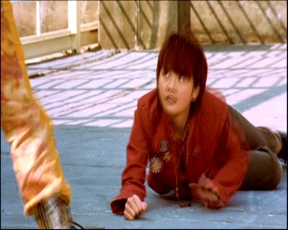 PDVD_511.jpg