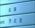 PDVD_1241