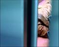 PDVD_1288