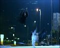 PDVD_1393