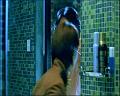 PDVD_1534