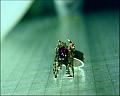 PDVD_1537