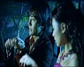 PDVD_1590
