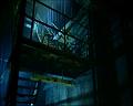 PDVD_1686