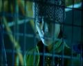 PDVD_1688