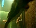 PDVD_1736