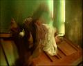 PDVD_1757