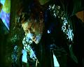 PDVD_1765