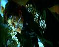 PDVD_1767