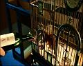 PDVD_371