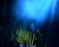 PDVD_638