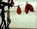 PDVD_704