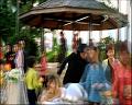 PDVD_786