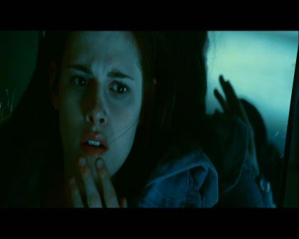 PDVD_1772.jpg