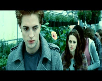 PDVD_407.jpg
