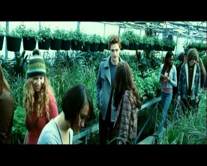 PDVD_420.jpg
