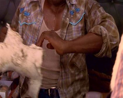 PDVD_1122.jpg