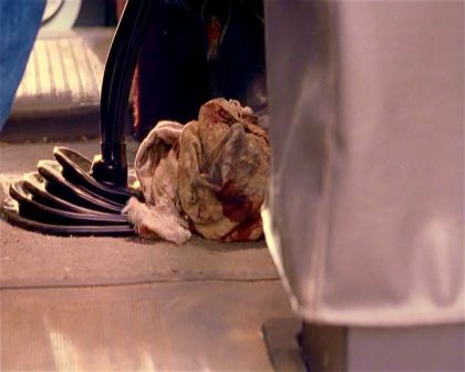 PDVD_1246.jpg
