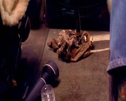 PDVD_1256.jpg
