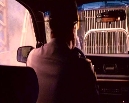PDVD_1265.jpg