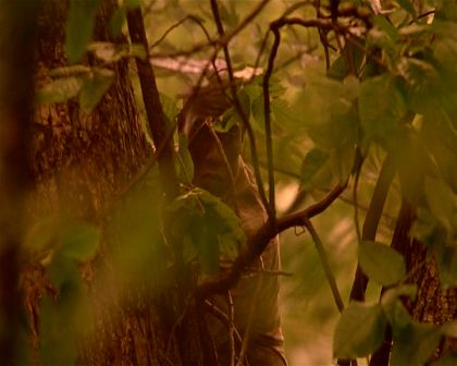 PDVD_1393.jpg