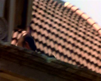 PDVD_2860.jpg