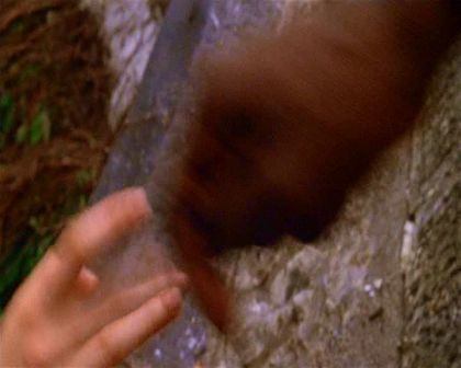 PDVD_2972.jpg
