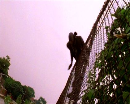 PDVD_3012.jpg