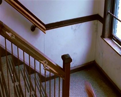 PDVD_3117.jpg