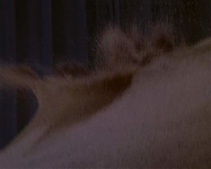 PDVD_3718.jpg