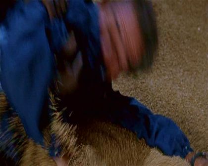PDVD_3724.jpg