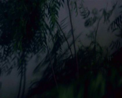 PDVD_650.jpg