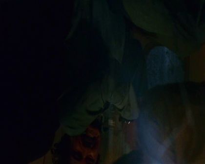 PDVD_742.jpg