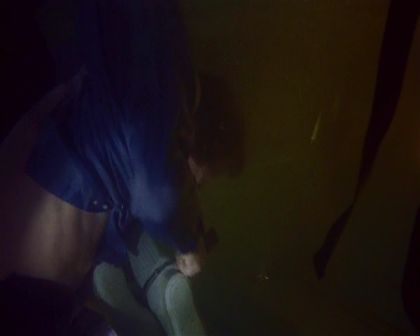 PDVD_790.jpg