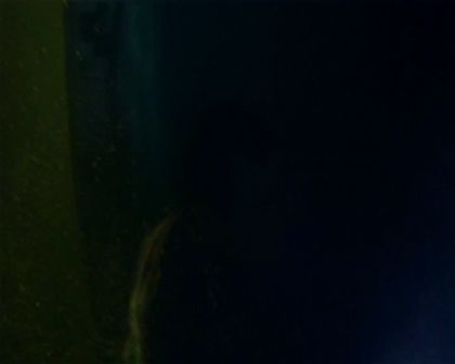 PDVD_812.jpg